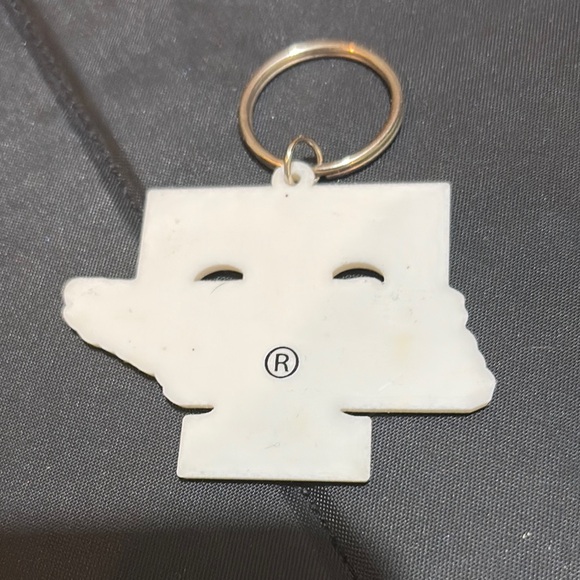 Tennessee Vols- Orange and white Keychain, never used! - Picture 3 of 6